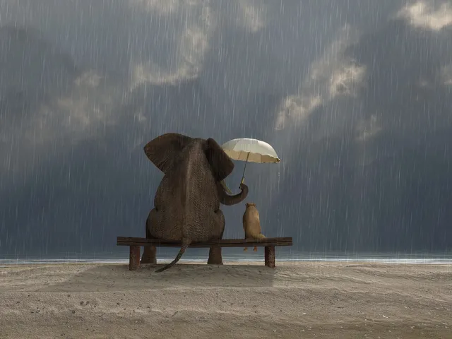 An elephant and a dog sitting on top of a bench.